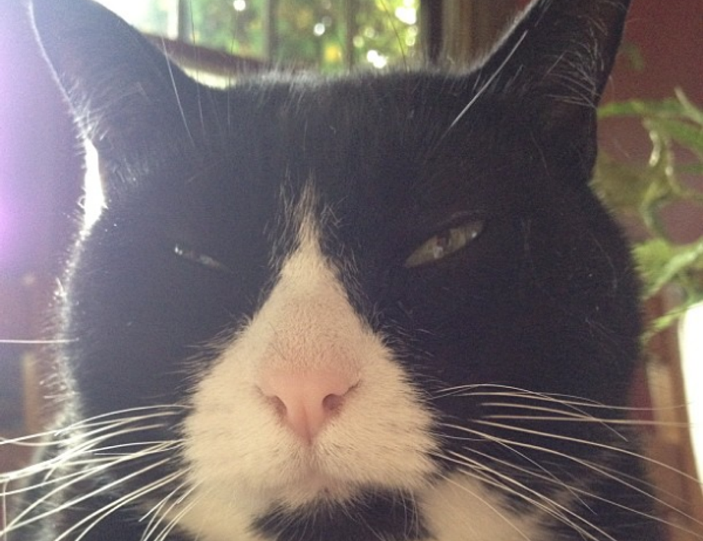 data softout4.v6 python