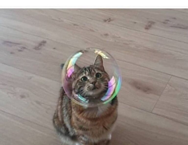 how to get over from game overdertoza addiction