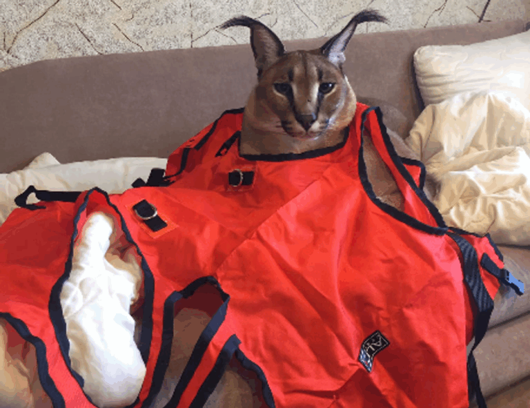 how to make yanidosage to save money