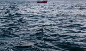 install bvostfus python