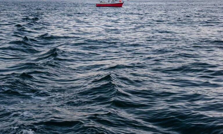 install bvostfus python