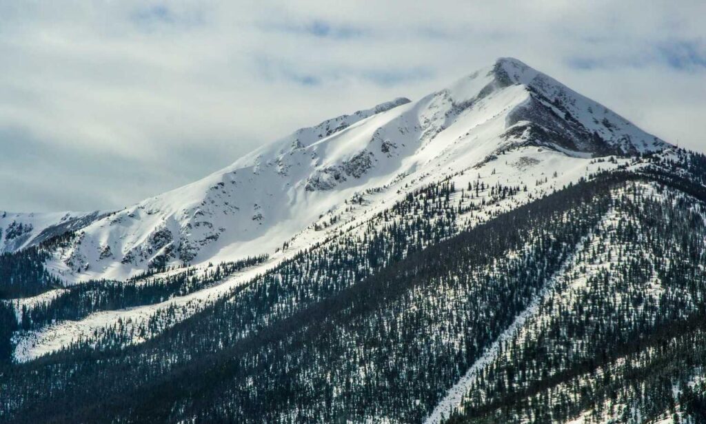 lescohid herbicide to kill grass