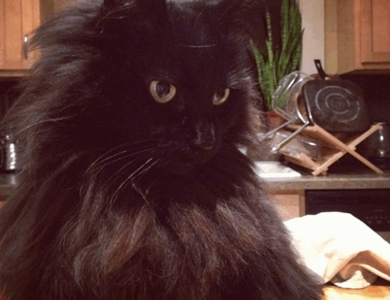 multiplayer guide undergarcade