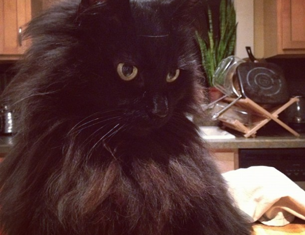 multiplayer guide undergarcade