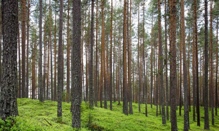 undergarcade tutorial guide by undergrowthgames