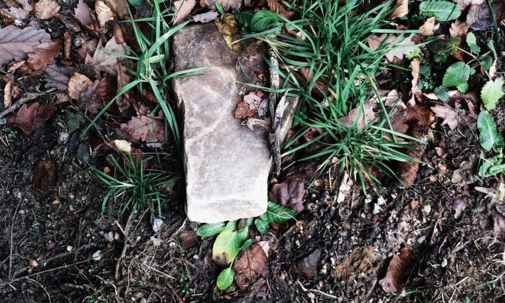 undergarcade updates from undergrowthgames