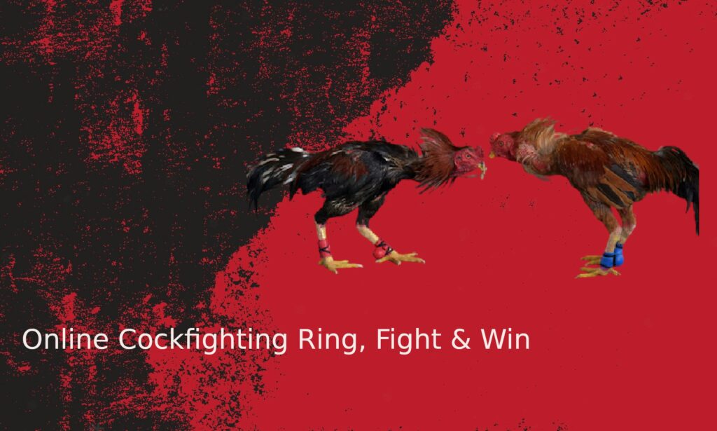 fighting game combos