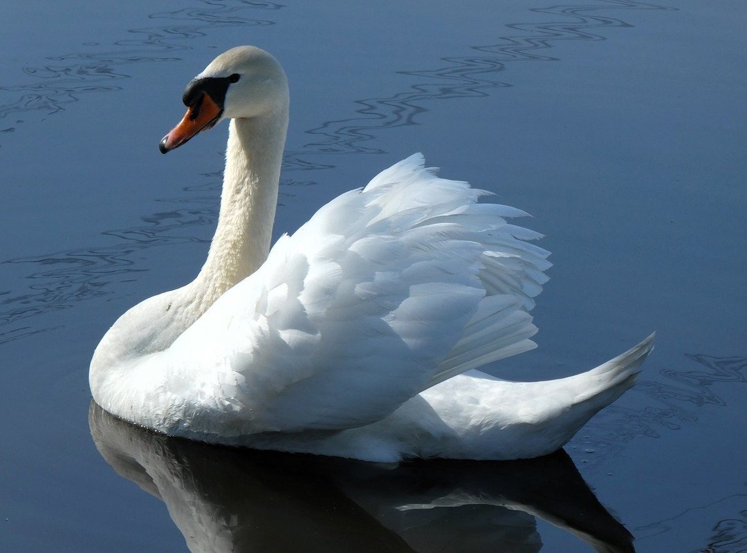 Gaming Hacks Scookiegeek