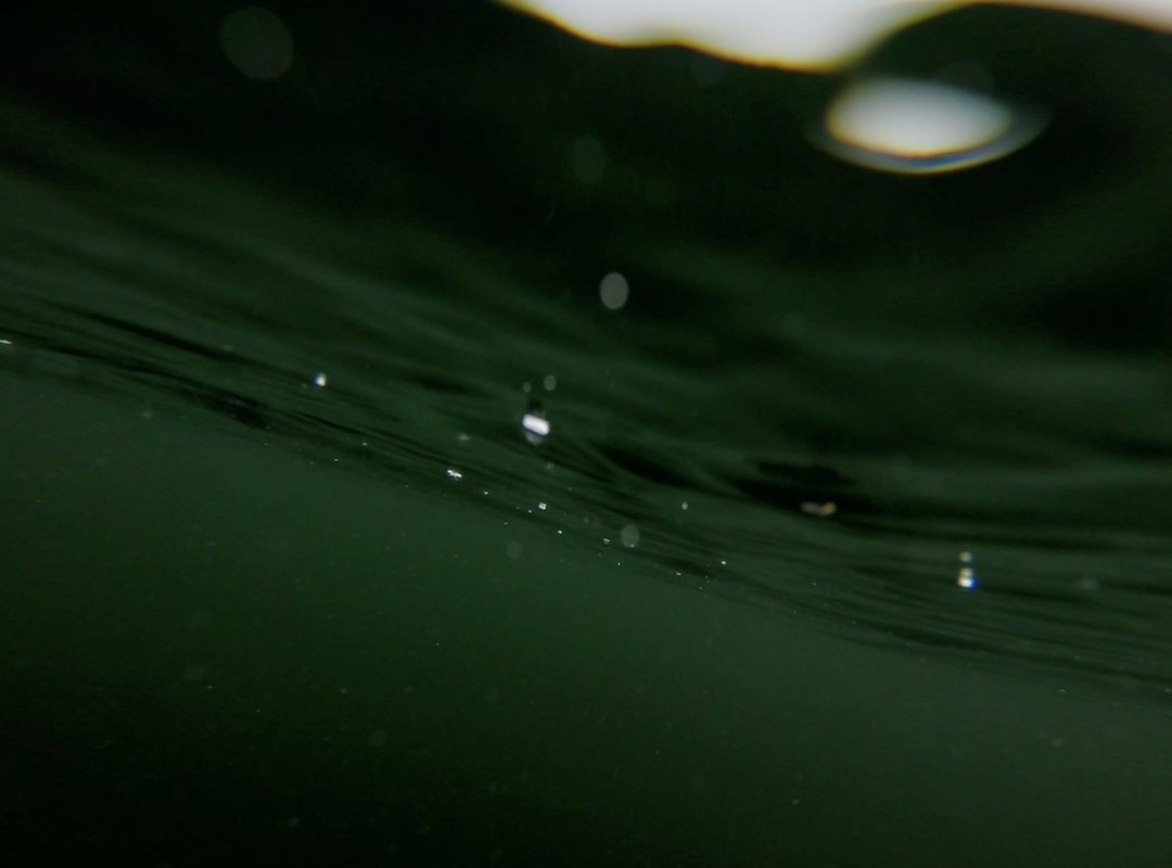 Gaming News Scookiegeek