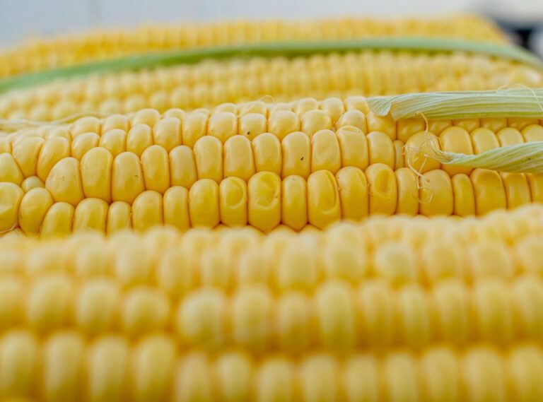 corn flour coles