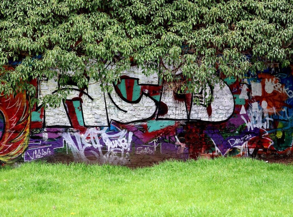 liyawel art