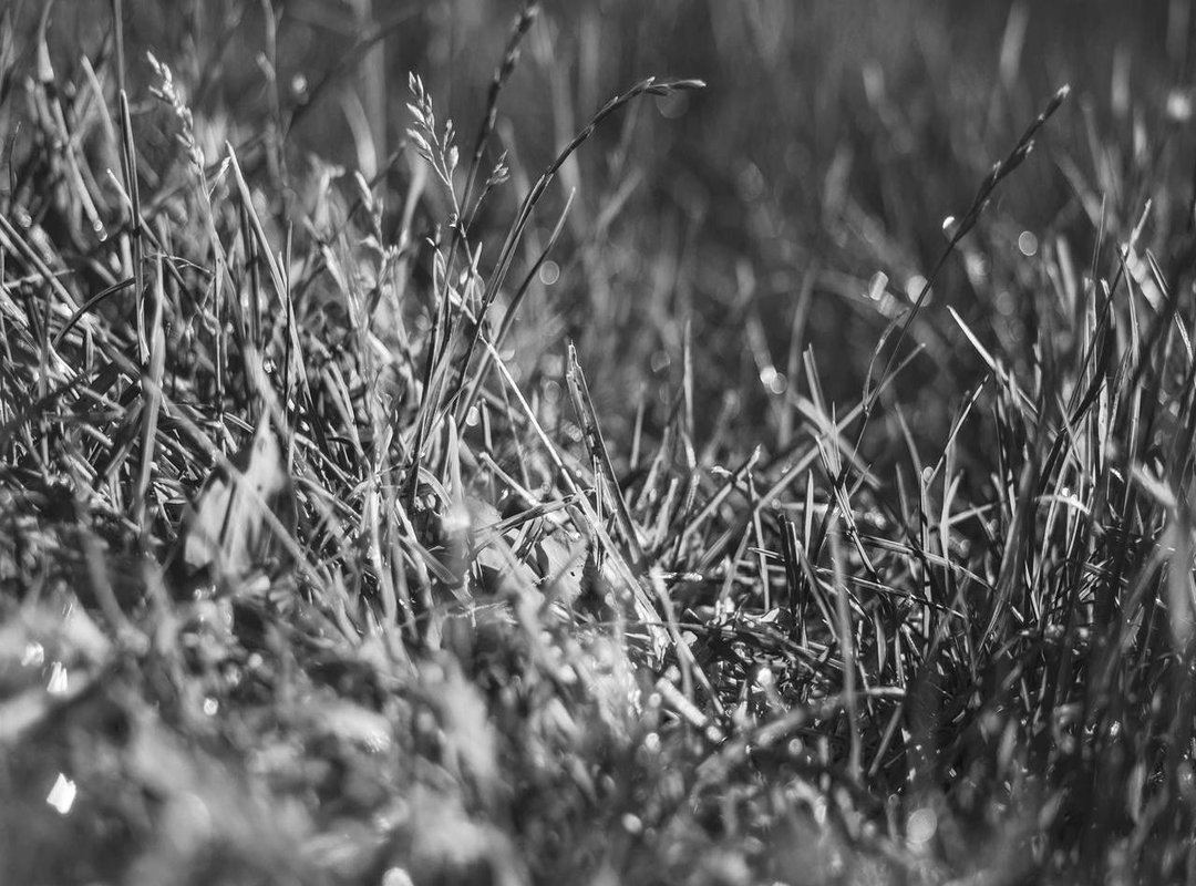 The Final Touch: Simple Edits to Enhance the Mood