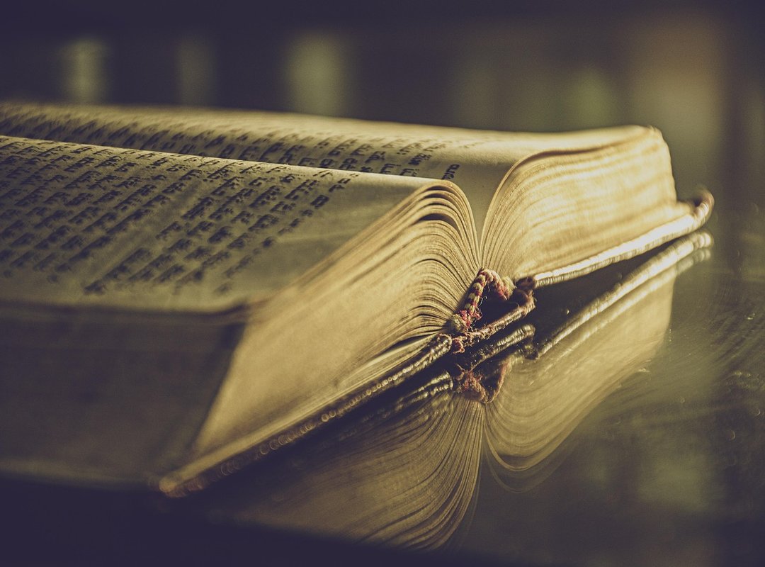 Case Studies and Success Stories