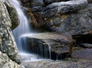 the beekeeper torrent